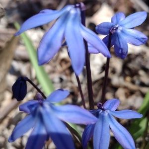 Meet your Posher, Jevaughn